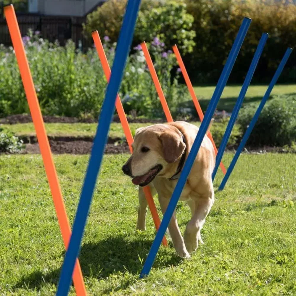 Pawise Hunde Agility Slalom 12 stk pæle - sjov hundetræning